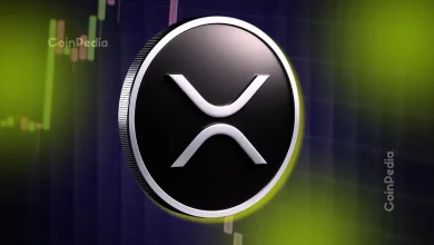 XRP价格下跌3%，Evernorth在ETF推出之前筹集了3.43亿美元